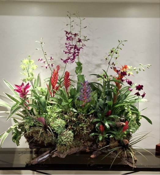 Mix/ Purple green Orchids