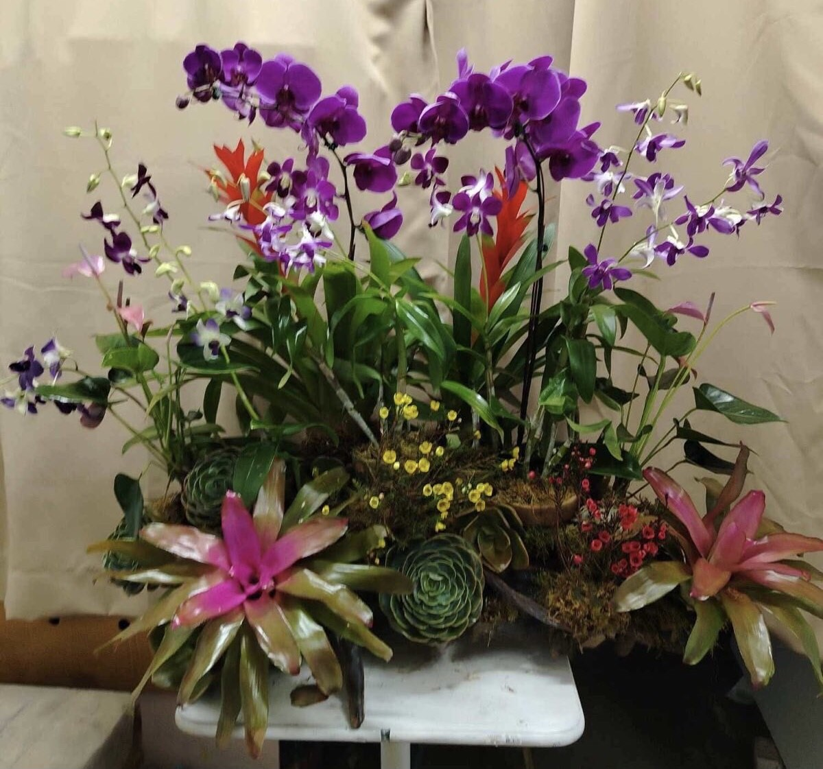 Purple/ Mix Orchids in driftwood arrangement