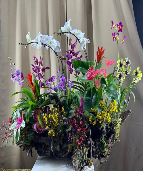 White Phalaenopsis & mix Dendro Orchids