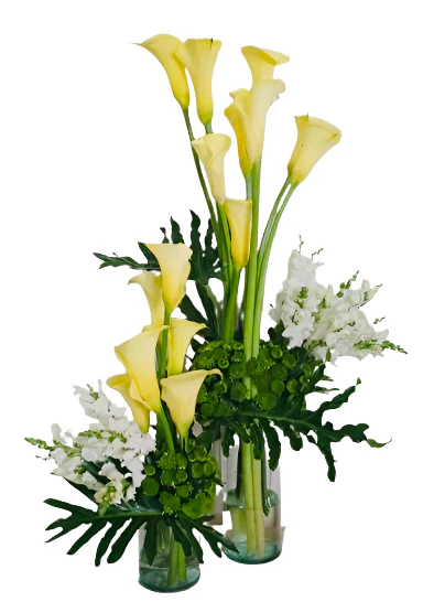 Yellow Calla set in a clear vase