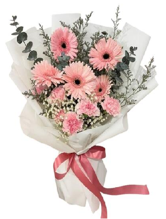 Elegant Mixed Carnation & Gerbera Bouquet