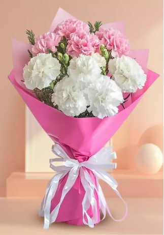 Carnation white & pink