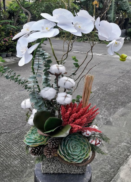 White Phalaenopsis Orchid in red accent