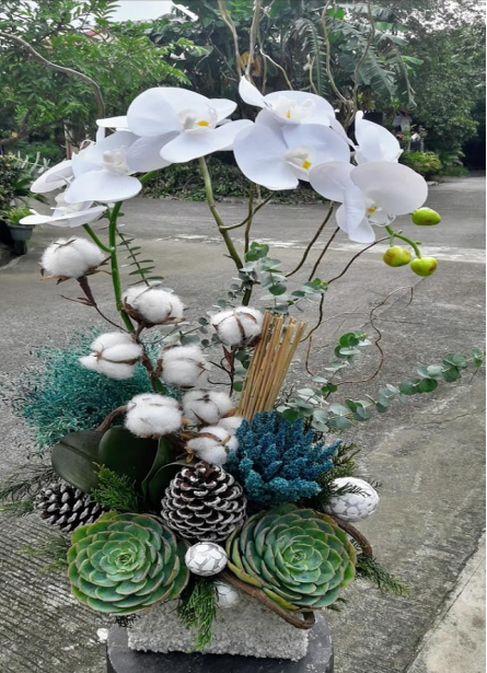 White Phalaenopsis Orchid in blue accent