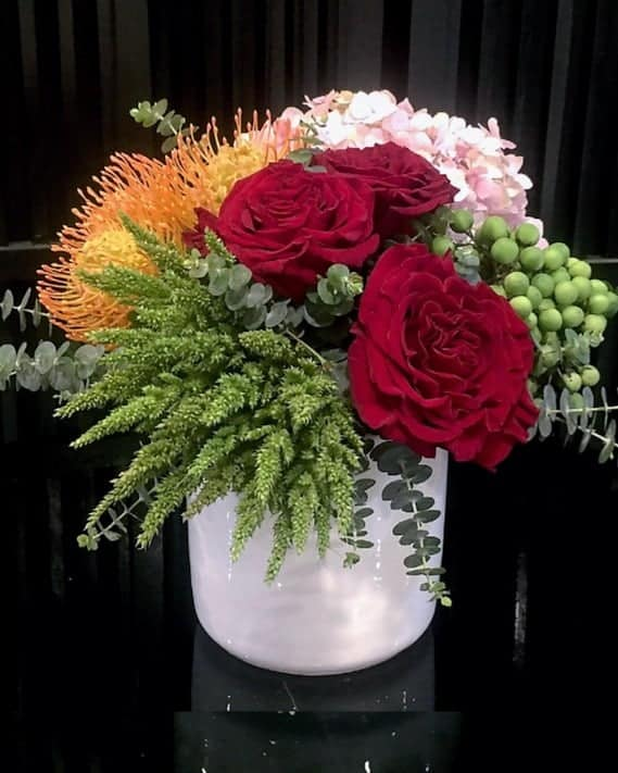 Red Ecuadorian in a round box